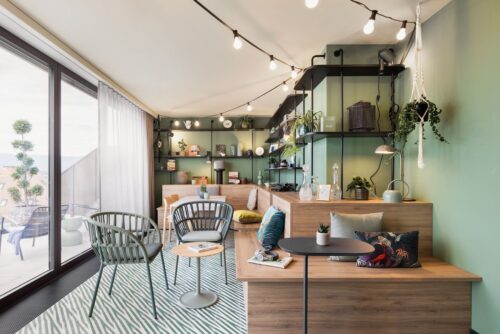 Inviting loggia with green wall, sofa, cushions and shelves with plants and decorative elements.