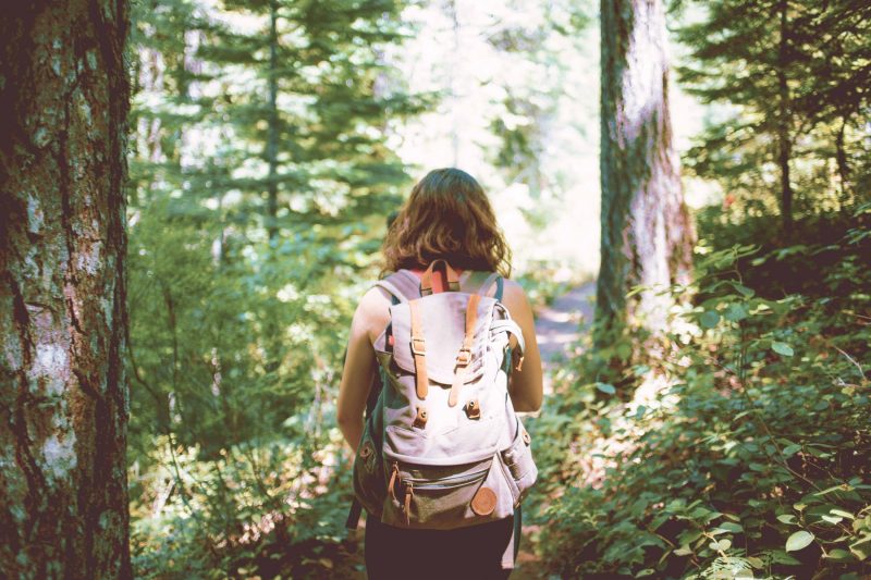 Person with a backpack walks alone along a narrow forest trail through dense, sunlit woodland.